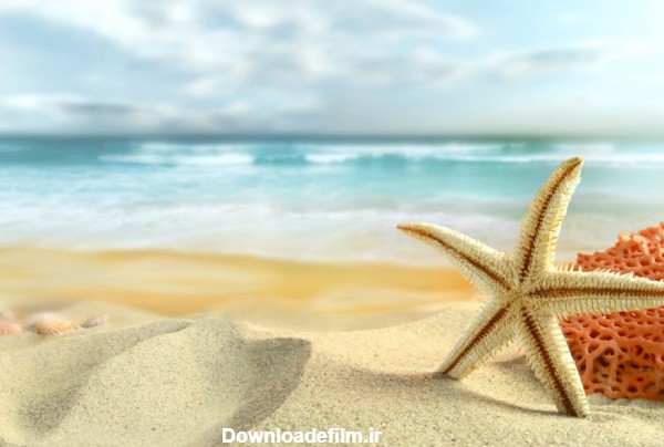 عکس والپیپر ستاره دریایی