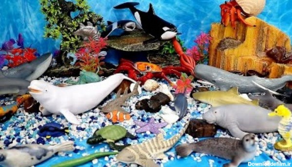 بازی با اسباب بازی خانه عروسکی مدل اقیانوس/قسمت 12/حیوانات زیر دریا