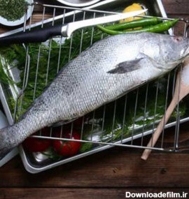 ماهی میش تازه جنوب و صید روز | خرید و قیمت ماهی میش | نیلسون