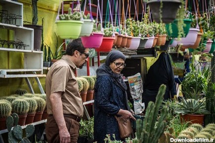 معرفی بازارهای گل بزرگ تهران
