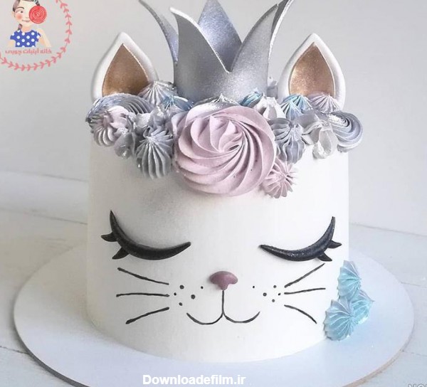 عکس کیک تولد دخترانه گربه - عکس نودی