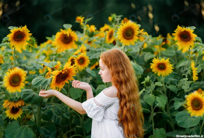 استوک دختر بچه زیبا در مزرعه آفتابگردان - مرجع دانلود فایلهای دیجیتالی