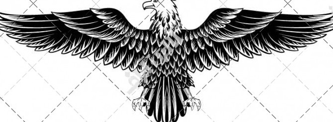 دانلود وکتور عقاب با بال گشوده عقاب