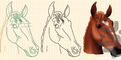 آموزش طراحی انواع اسب - عکس برنامه موبایلی اندروید