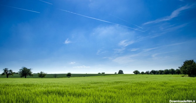 عکس زمینه پانوراما از مزرعه سرسبز پس زمینه | والپیپر گرام