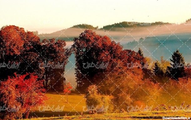 تصویر با کیفیت چشم انداز زیبای فصل پاییز همراه با منظره دیدنی و ...