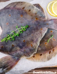 خرید آنلاین کفشک ماهی تازه - ماهی مارکت