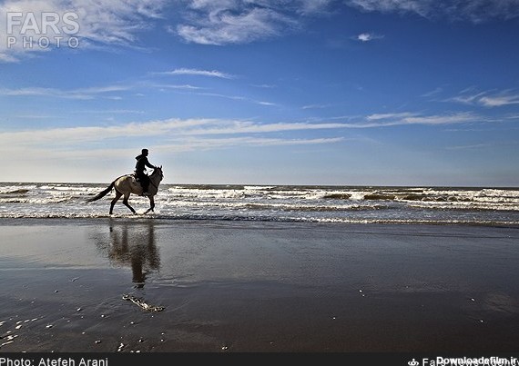 تصاویر/ اسب سواری در سال اسب