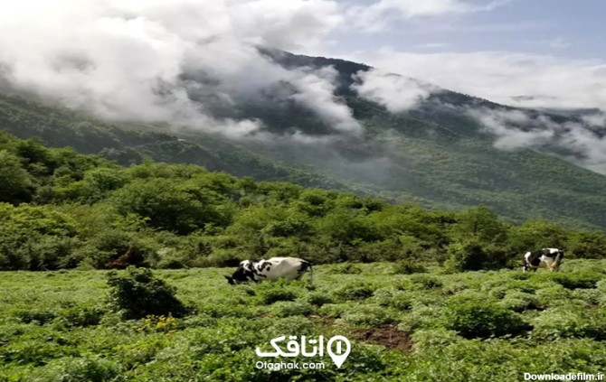 بهترین مسیرهای طبیعت گردی در ایران | کشوری پر از جاذبه‌های ...