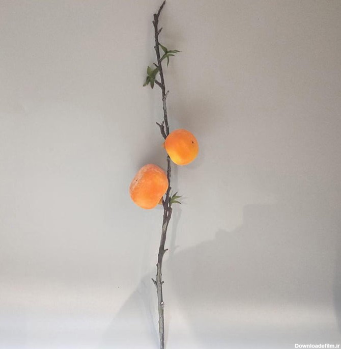 شاخه خرمالو - میوه مصنوعی - یک شاخه - 2 میوه