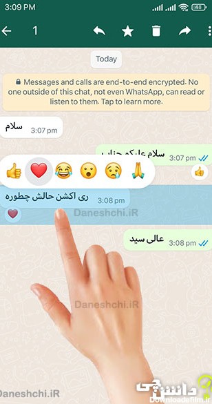 آموزش نحوه لایک پیام در واتساپ | Reactions on WhatsApp - دانشچی
