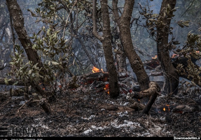 جنگل های مریوان در آتش (عکس)