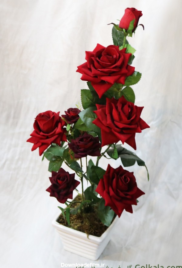 گلدان گل رز سرخ لمسی 8 شاخه | گل فروشی گل کالا | 65 هزار تومان