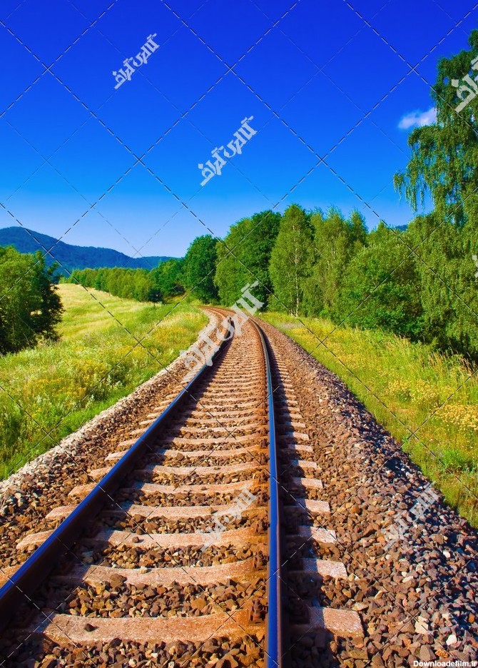 عکس ریل قطار در دل جنگل