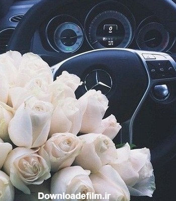 عکس گل تو ماشین