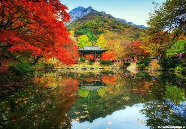 طبیعت زیبای کره جنوبی (عکس)