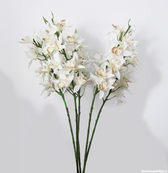 شاخه ارکیده مصنوعی مدل سیمبیدیوم هر شاخه 13 گل سفید - گلفروشی آنلاین