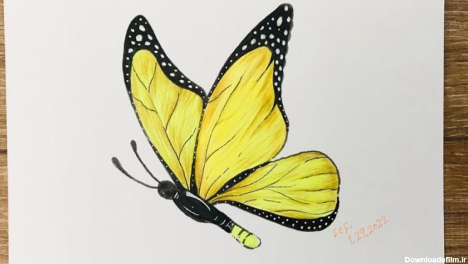 آموزش طراحی آسان - پروانه - طراحی آسان پروانه - نقاشی های رنگی