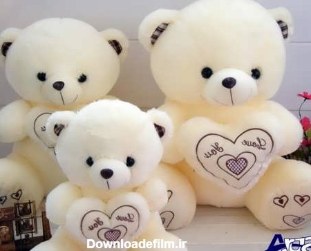 images of teddy bear (23) آرگا