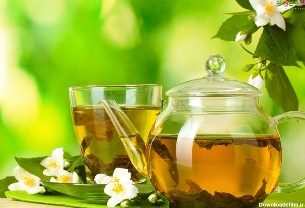 خواص بی نظیر چای سبز Green tea | گل من و تو