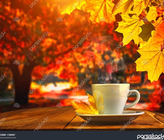 فنجان قهوه و جنگل پاییزی 1188007