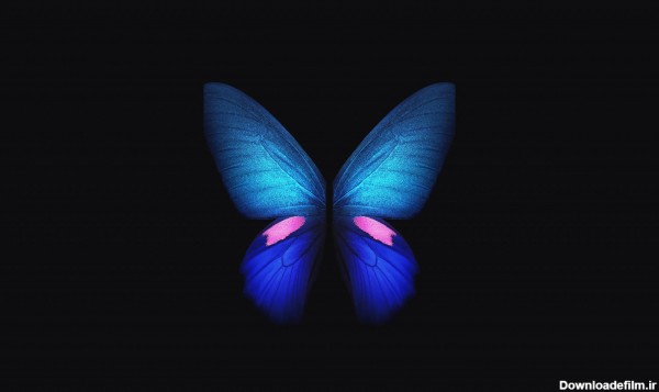 تصویر پس زمینه گرافیکی پروانه آبی | پیکفری