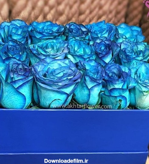 خرید و قیمت باکس گل رز آبی | ترب