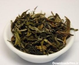 چای سبز ایرانی | فروشگاه چای سبز ایرانی | بهترین چای سبز ایرانی