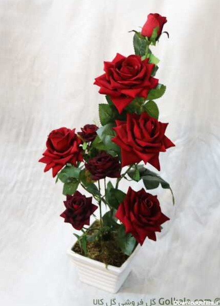 گلدان گل رز سرخ لمسی