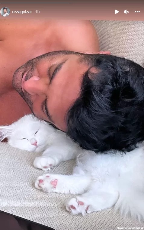 عکس عجیب از “محمدرضا گلزار” / بدون لباس با گربه سفیدش خوابید!