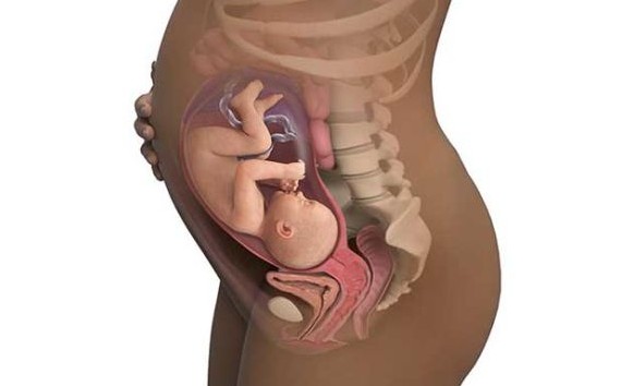 ماه هشتم بارداری - 7 علائم خطر زایمان در هشت ماهگی