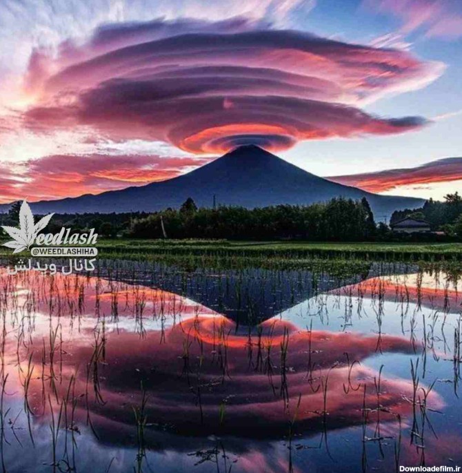 منظره رویایی کوه فوجی در ژاپن+عکس