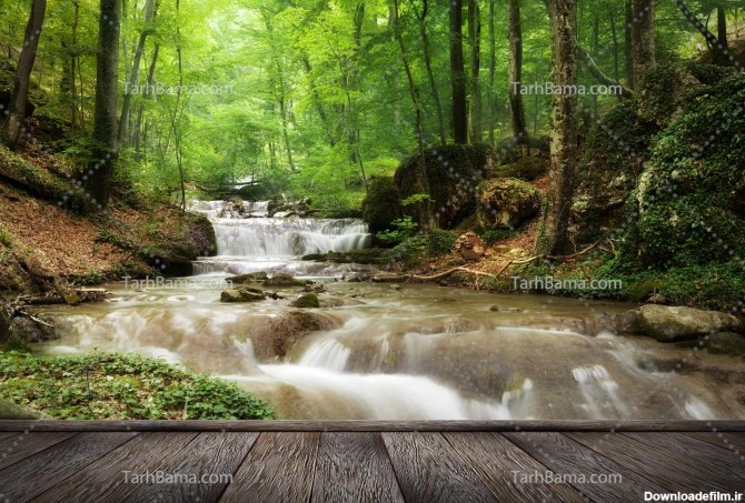 تصویر با کیفیت جنگل سرسبز رود خانه و تخته چوبی