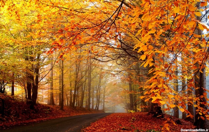 مجموعه ای از زیباترین والپیپرهای فصل پاییز با کیفیت بالا :: آوای طبیعت