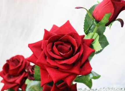گلدان گل رز سرخ لمسی - رز قرمز