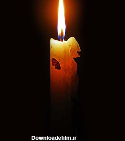 عکس شمع با پروانه