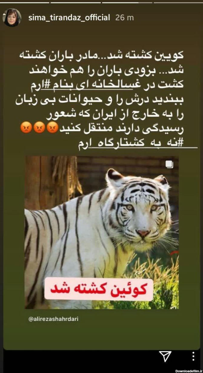 در ایران شعور رسیدگی به حیوان نداریم! - جهان نيوز