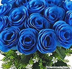 تصاویر گل آبی زیبا