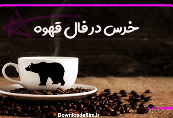 تعبیر و تفسیر خرس در فال قهوه | ستاره