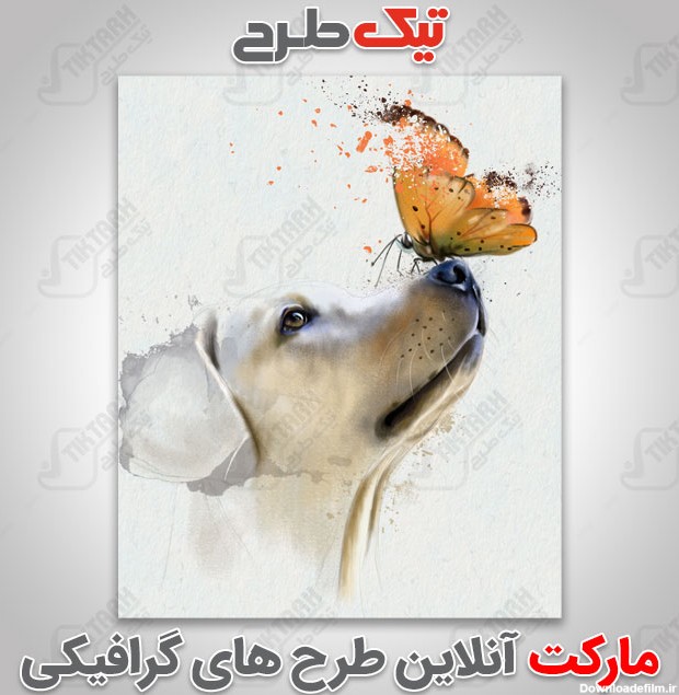 عکس با کیفیت نقاشی سگ و پروانه