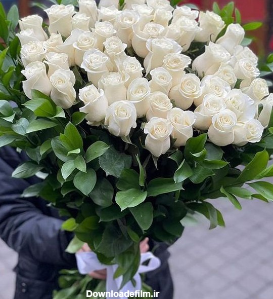 دسته گل رز سفید هلندی 60 عددی