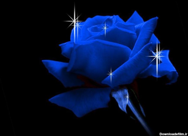 عکس گلهای آبی زیبا