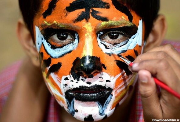 آخرین خبر | عکس/ نقاشی ببر روی صورت کودک هندی