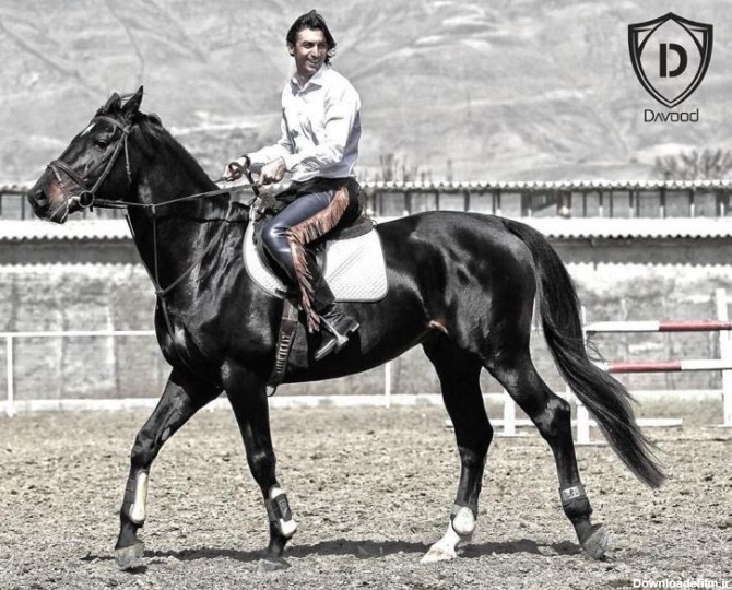 مهدی رحمتی سوار بر اسب زیبایش (عکس) | رویداد24