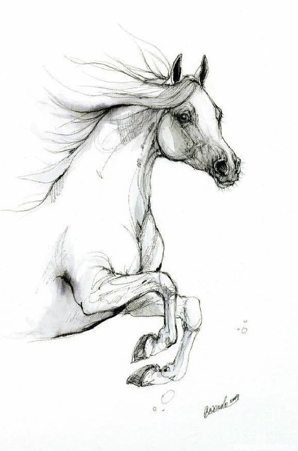 مدل اسب برای سیاه قلم