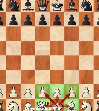 آموزش حرکت مهره شاه در شطرنج