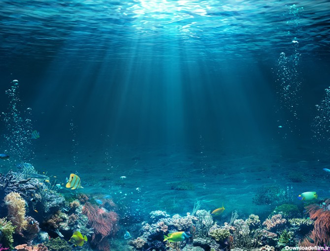 معرفی اقیانوس های دنیا و راه رسیدن به نزدیکترین ساحل آن ها