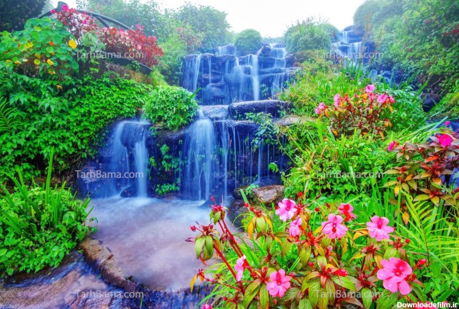 تصویر با کیفیت آبشار چند طبقه و گل های زیبا