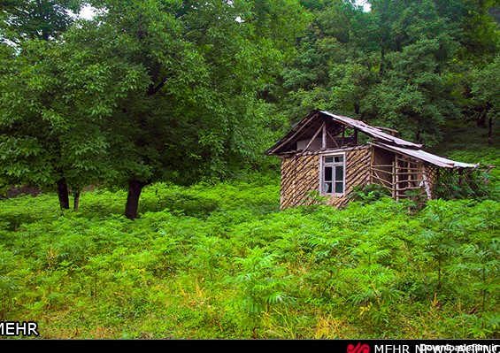 تصاویری از طبیعت شمال ایران