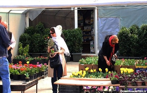 ساعت کار و آدرس بازار گل‌های تهران